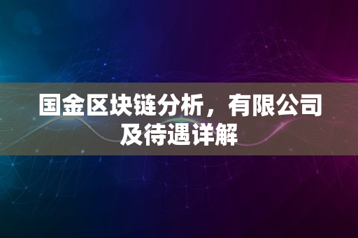 国金区块链分析，有限公司及待遇详解