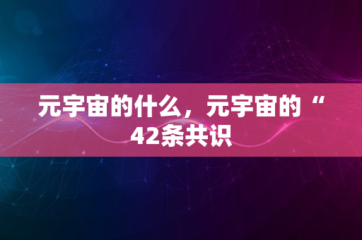 元宇宙的什么，元宇宙的“42条共识