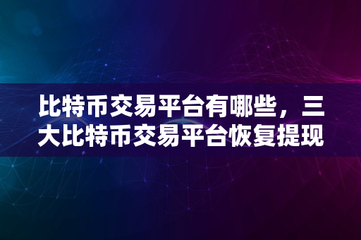 比特币交易平台有哪些，三大比特币交易平台恢复提现详解