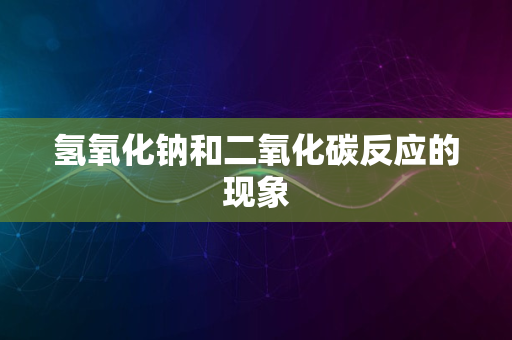 氢氧化钠和二氧化碳反应的现象