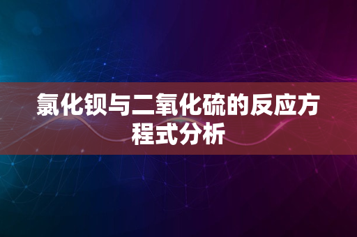 氯化钡与二氧化硫的反应方程式分析