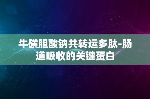 牛磺胆酸钠共转运多肽-肠道吸收的关键蛋白