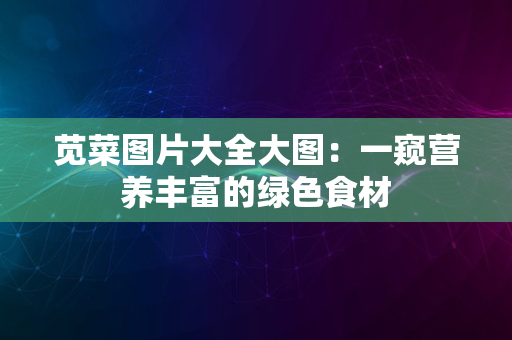 苋菜图片大全大图：一窥营养丰富的绿色食材