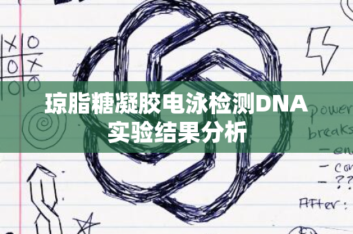 琼脂糖凝胶电泳检测DNA实验结果分析