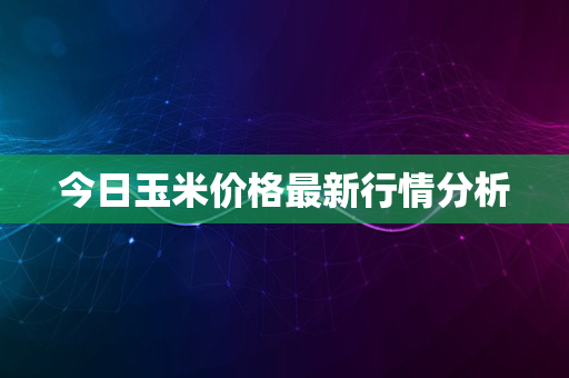 今日玉米价格最新行情分析