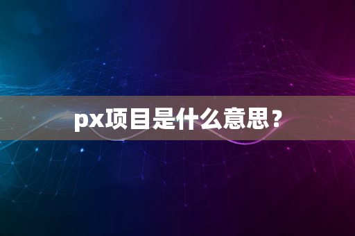 px项目是什么意思？