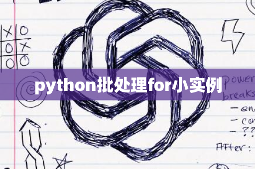 python批处理for小实例