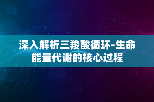 深入解析三羧酸循环-生命能量代谢的核心过程