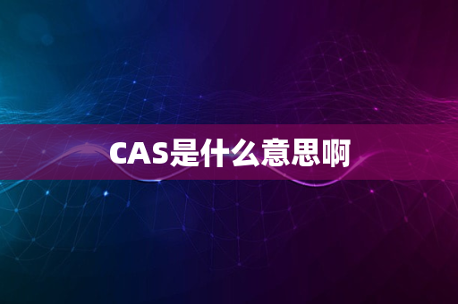 CAS是什么意思啊