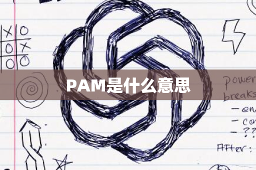 PAM是什么意思