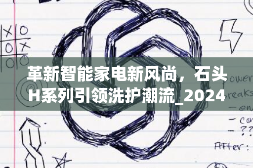 革新智能家电新风尚，石头H系列引领洗护潮流_2024年展望