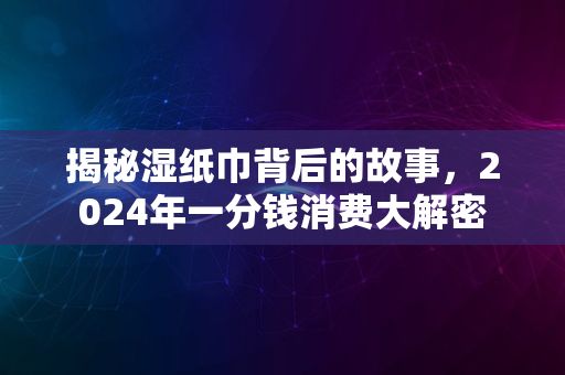 揭秘湿纸巾背后的故事，2024年一分钱消费大解密