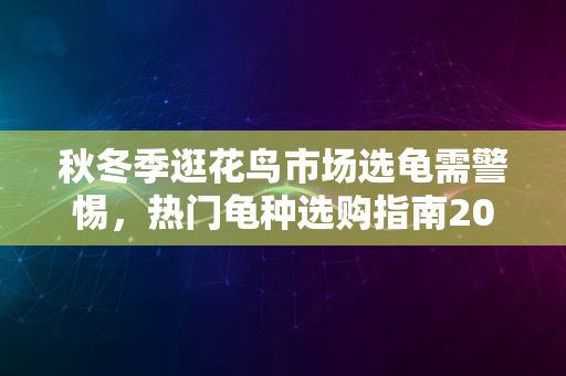 秋冬季逛花鸟市场选龟需警惕，热门龟种选购指南2024版