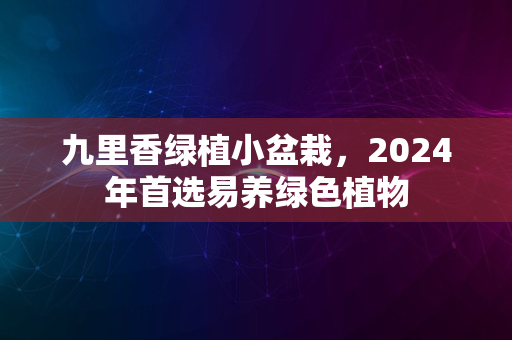 九里香绿植小盆栽，2024年首选易养绿色植物