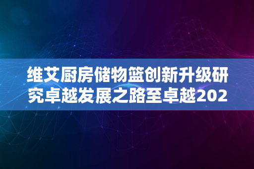 维艾厨房储物篮创新升级研究卓越发展之路至卓越2024年