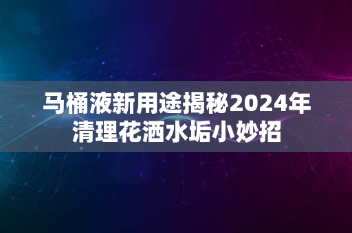 马桶液新用途揭秘2024年清理花洒水垢小妙招