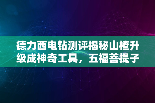 德力西电钻测评揭秘山楂升级成神奇工具，五福菩提子只差一步