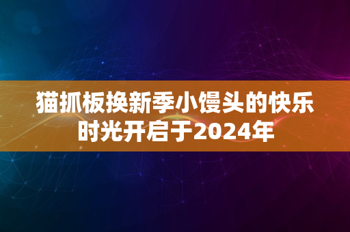 猫抓板换新季小馒头的快乐时光开启于2024年