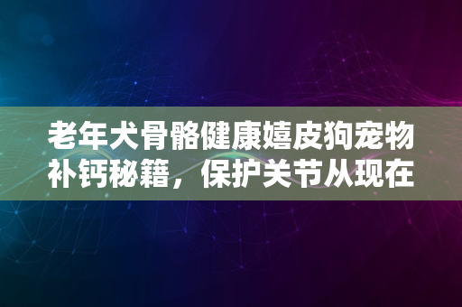 老年犬骨骼健康嬉皮狗宠物补钙秘籍，保护关节从现在开始