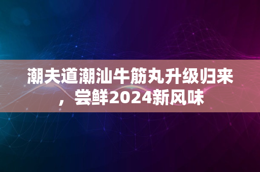 潮夫道潮汕牛筋丸升级归来，尝鲜2024新风味