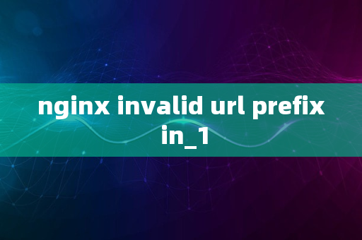 nginx invalid url prefix in_1