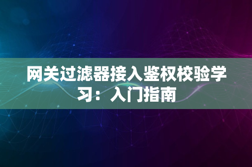 网关过滤器接入鉴权校验学习：入门指南