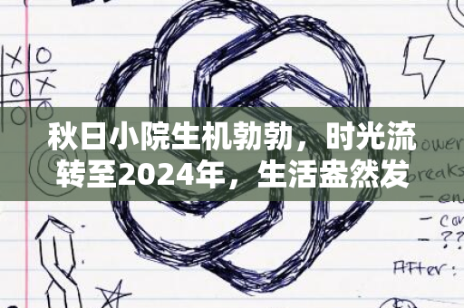 秋日小院生机勃勃，时光流转至2024年，生活盎然发展