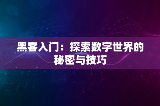 黑客入门：探索数字世界的秘密与技巧