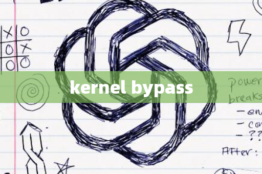 kernel bypass