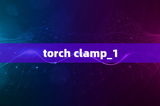 torch clamp_1