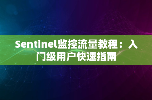 Sentinel监控流量教程：入门级用户快速指南