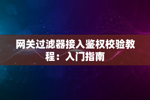 网关过滤器接入鉴权校验教程：入门指南