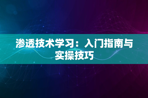 渗透技术学习：入门指南与实操技巧