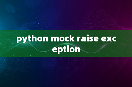 python mock raise exception