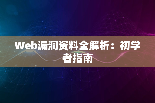 Web漏洞资料全解析：初学者指南