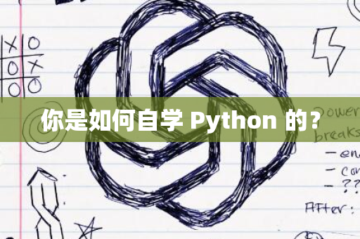 你是如何自学 Python 的？