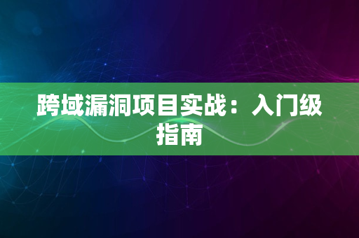 跨域漏洞项目实战：入门级指南