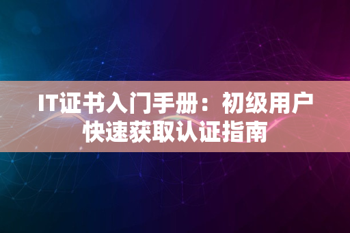 IT证书入门手册：初级用户快速获取认证指南